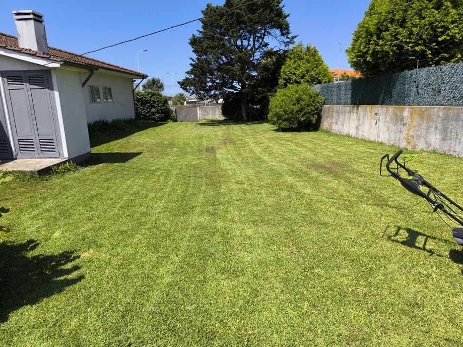 Serviços de jardinagem