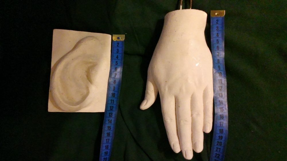 Арт - объекты, кисть, ухо