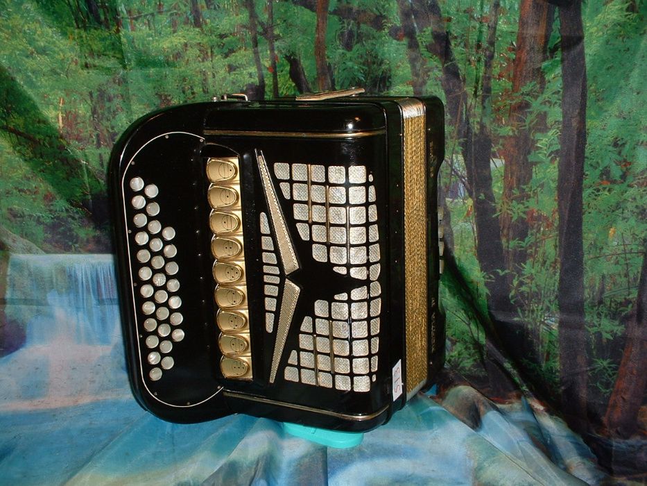 Concertina n. 513