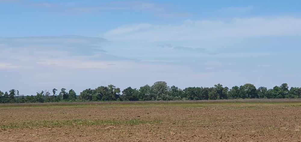 Продаж землі ОСГ в межах Гнідинської с/р Бориспільського р-ну
