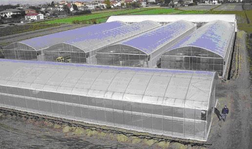 Поликарбонат (теплица, навесы) с доставкой