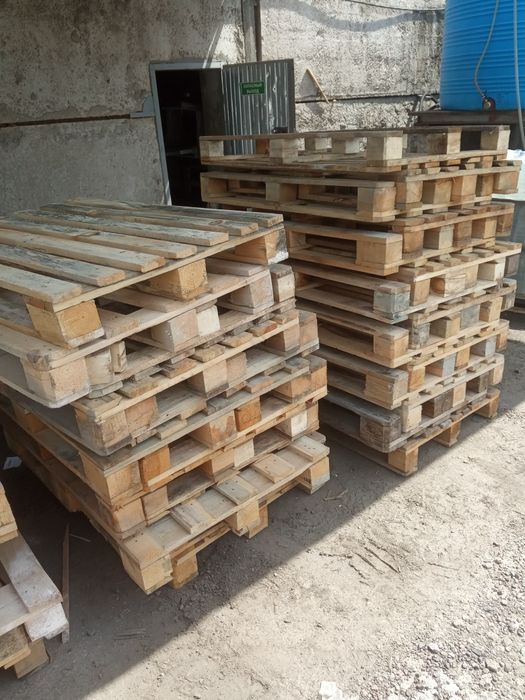 Поддоны новые продам 100грн.