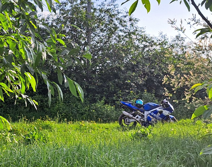 Продам Yamaha R6 (RJ 03)
