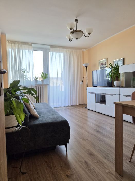 Wynajmę pokoje spokojnym stydentkom