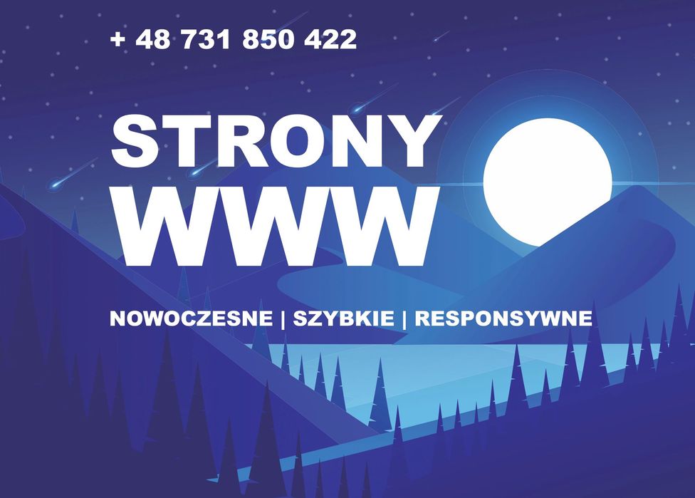 Strony WWW | Projektowanie stron internetowych | Sklepy internetowe