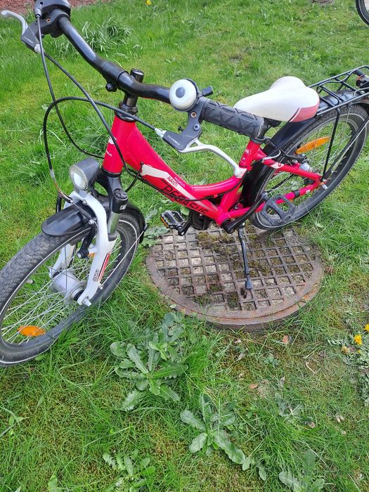 Rower 20cali Pegasus avanti