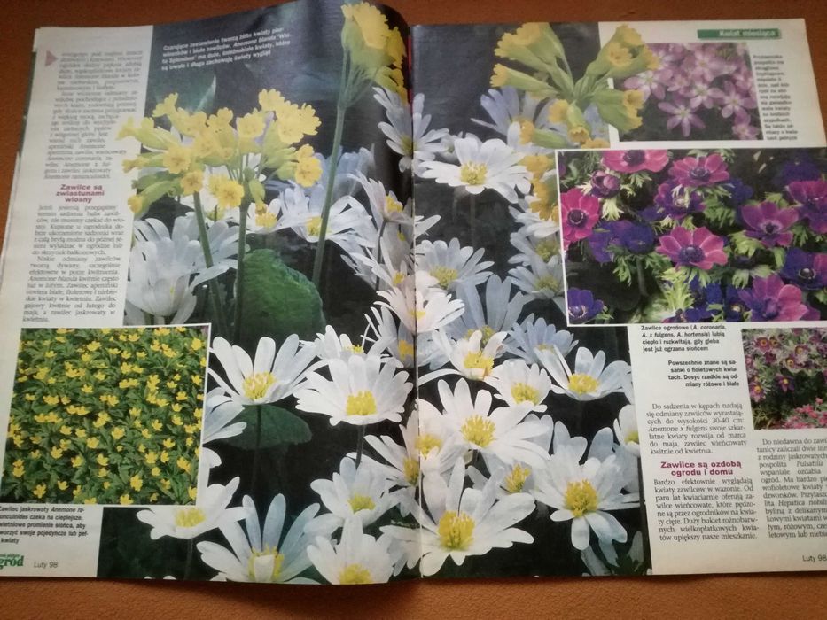 Mój piękny ogród czasopismo,praktyczny magazyn 2egz.
