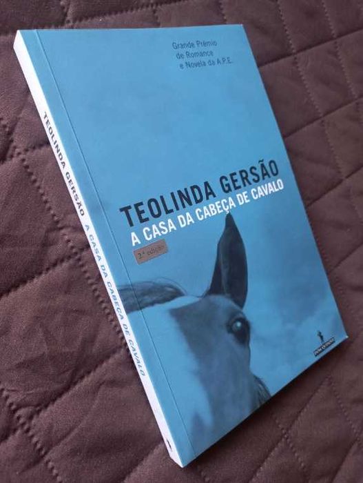A Casa da Cabeça de Cavalo - Teolinda Gersão