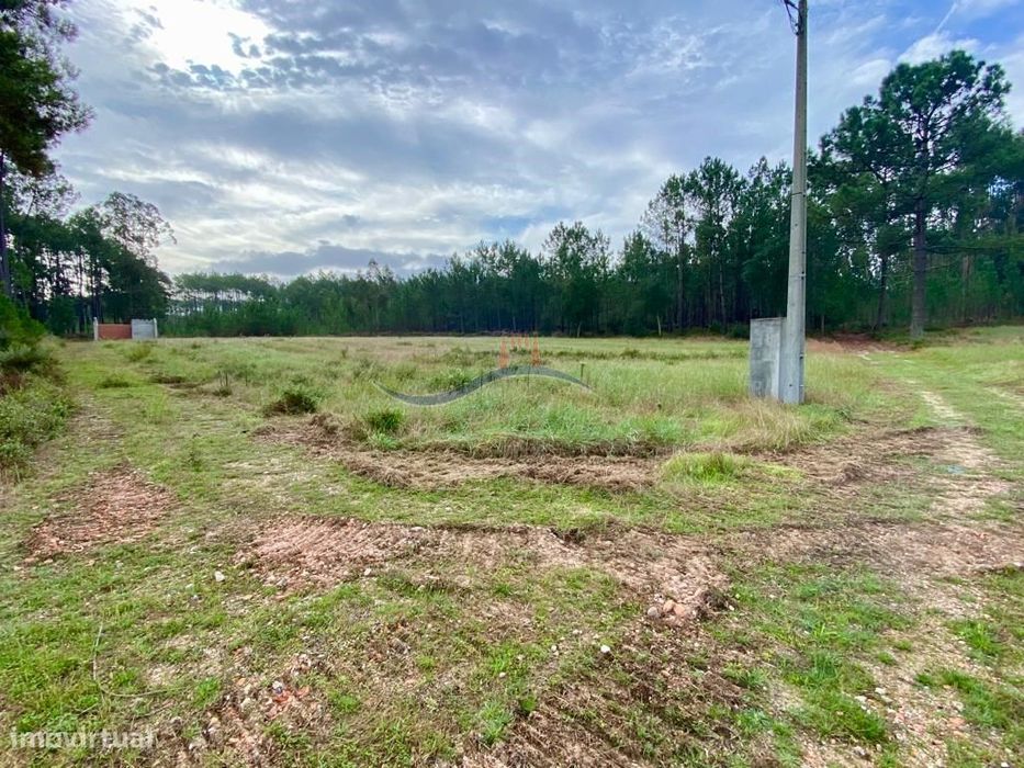 Terreno Florestal - Monte Redondo