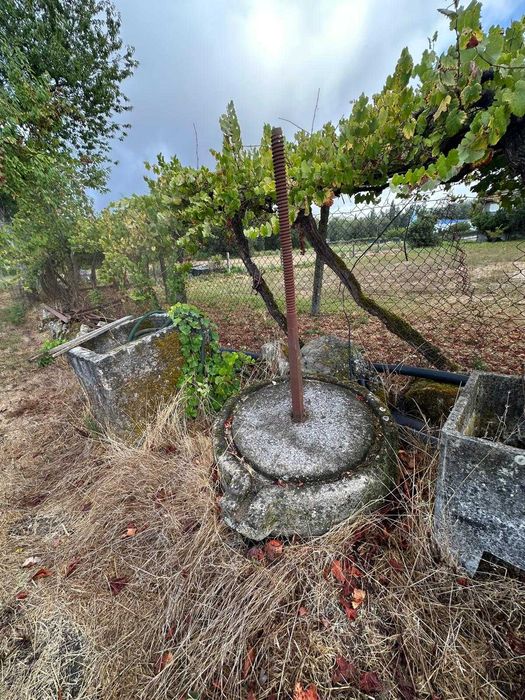 Pedra de prensa antiga de espremedor uvas
