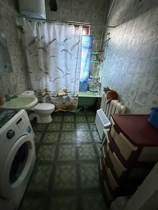 Дом капитальный в Лесках