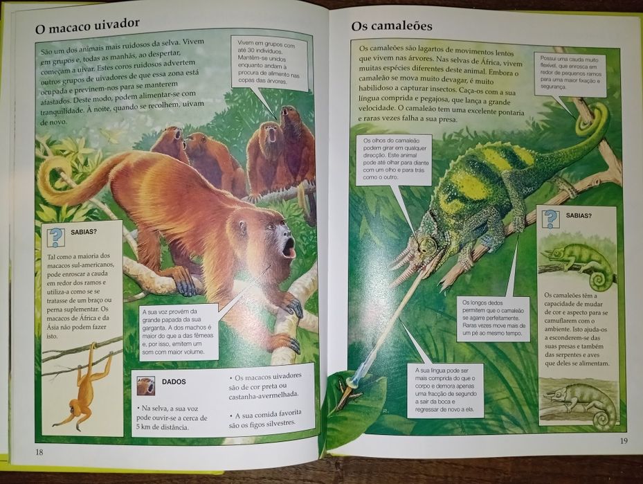 Colecção Livros «Enciclopédia dos Animais Selvagens»