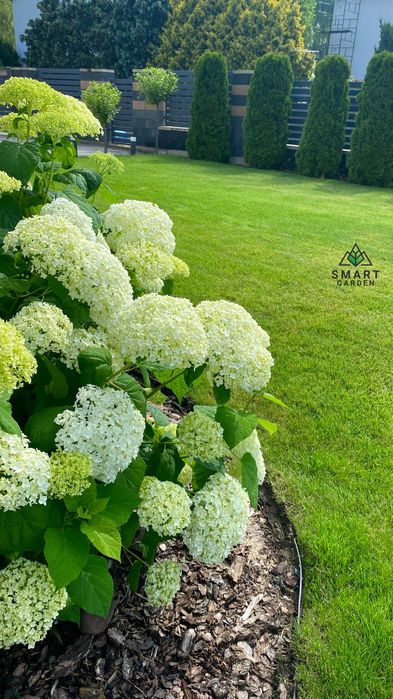 OGRODY - Trawniki - Automatyczne NAWADNIANIE 2025 - SMART GARDEN