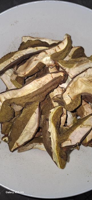 Borowik suszony plastry