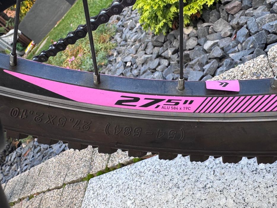 Rower Kross  model Lea   2.0