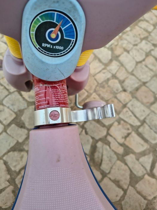 Triciclo reversível - radioflyer