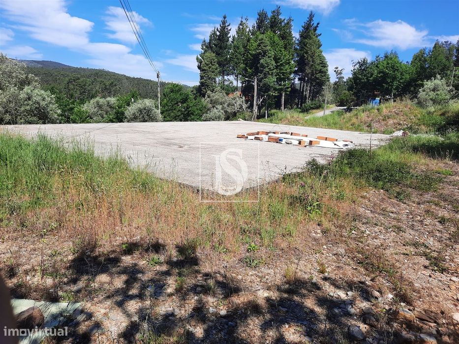 Terreno  Venda em Pala,Mortágua — Pala, Viseu