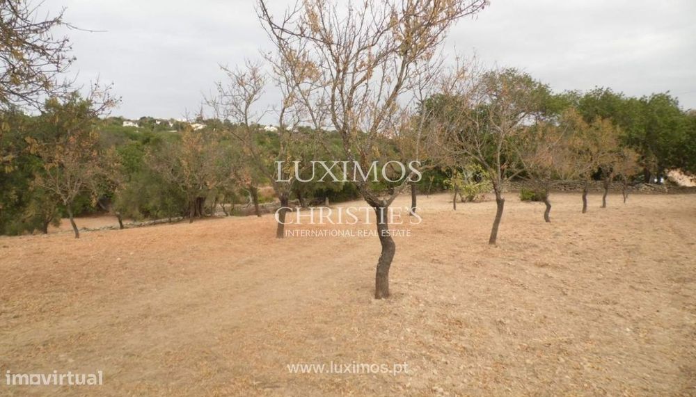 Terreno para venda, vistas mar, costa e serra, Loulé, Algarve — Salir, Faro