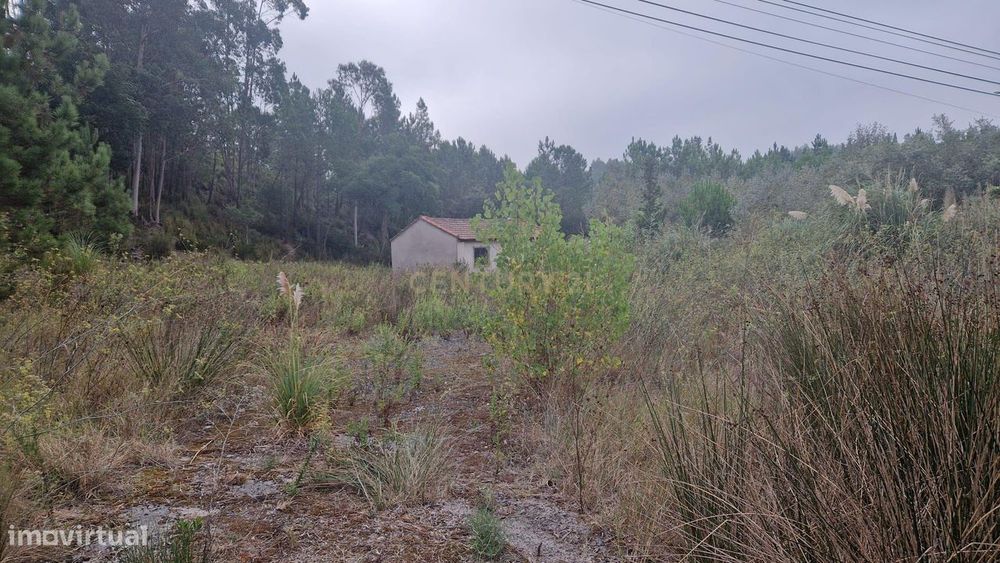 Terreno com grandes dimensões às portas de Condeixa
