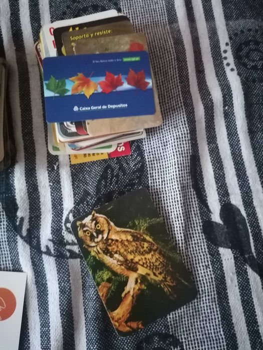 Calendários de Bolso - Vários Temas