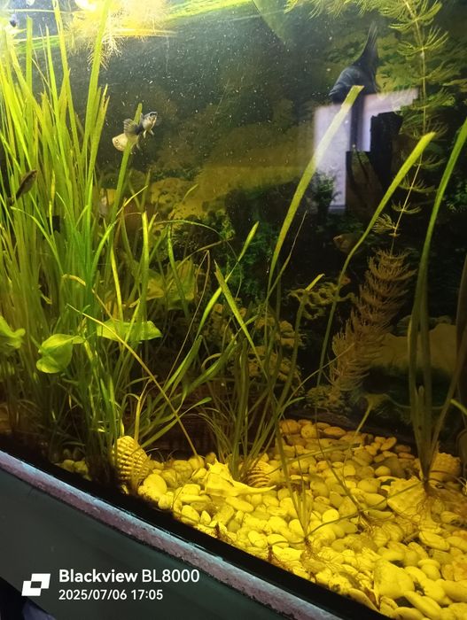 Продам акваріум.