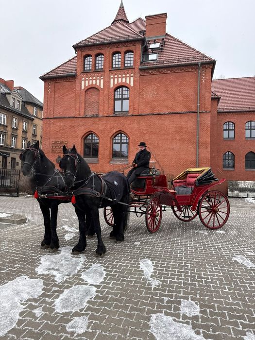 Bryczka Victoria powóz konny