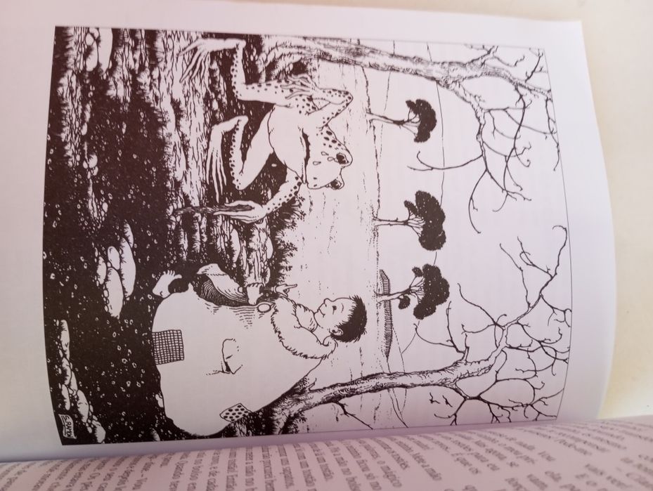 Contos para a pré-escola