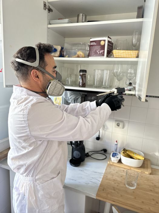 DESINFESTAÇÃO CONTROLO D EPRAGAS PERCEVEJOS BARATAS PULGAS TÉRMITAS