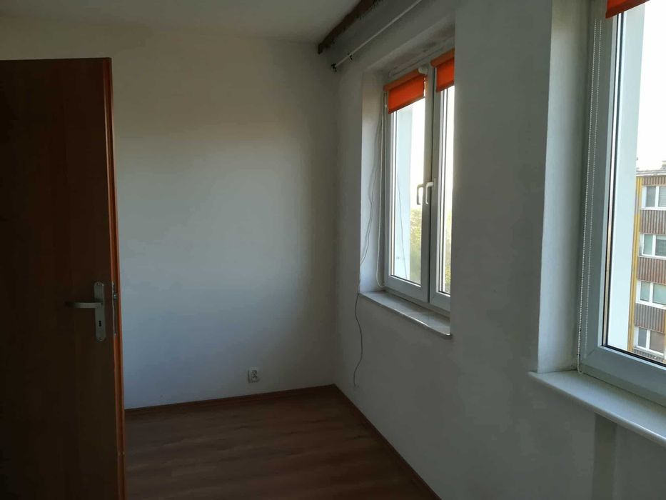 Mieszkanie do wynajęcia