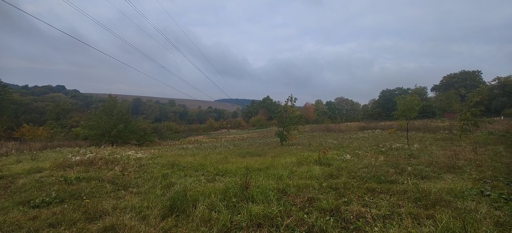 Земельна ділянка с. Береги