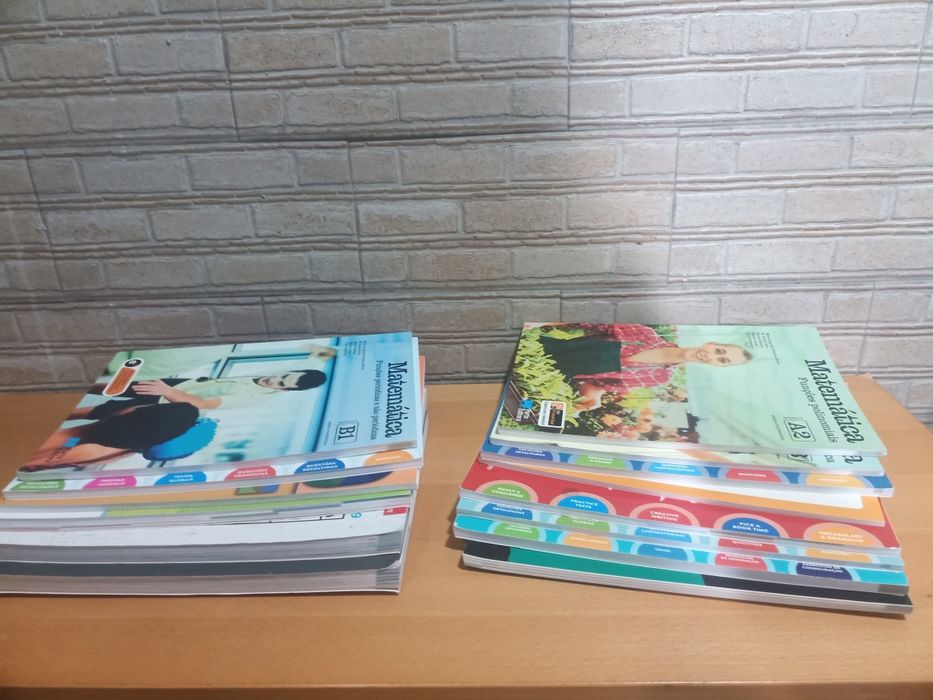 Conj. 10 Livros: cursos profis 11° anos