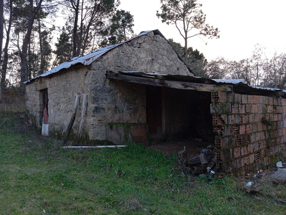 Terreno Agrícola - Vilar Seco