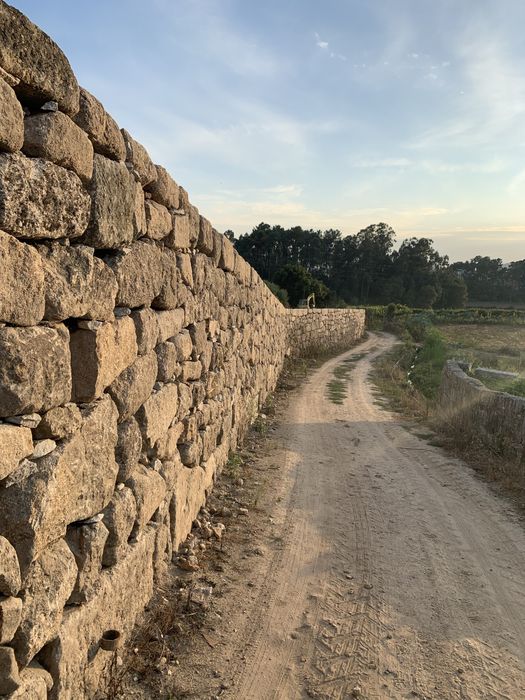 Quinta  com 5000 m2 com optima exposicao solar