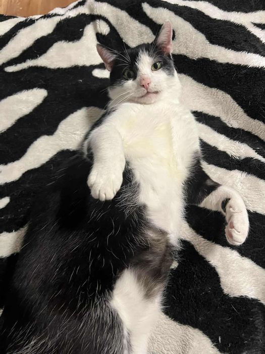 DOM potrzeby na JUŻ!