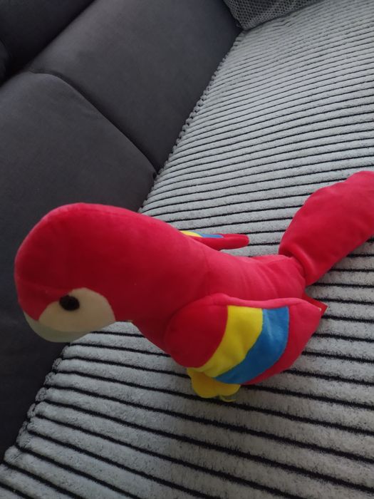 Papuga # grajonca # pluszowe # Playtive junior