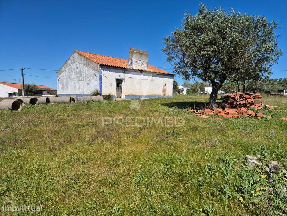 Herdade com elevado potencial de investimento em Pavia,Mora.