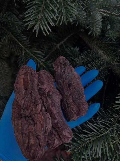 Kora Sosnowa Sortowana ,Wrocław okolice z dostawą