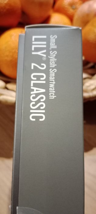 Garmin Lily 2 Classic