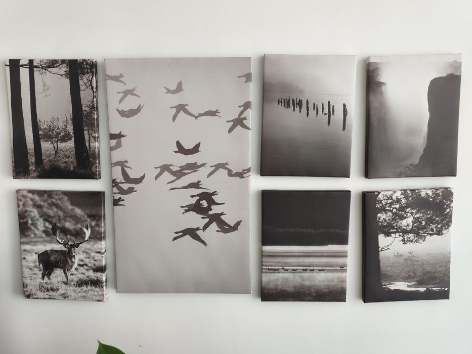 Quadros decorativos