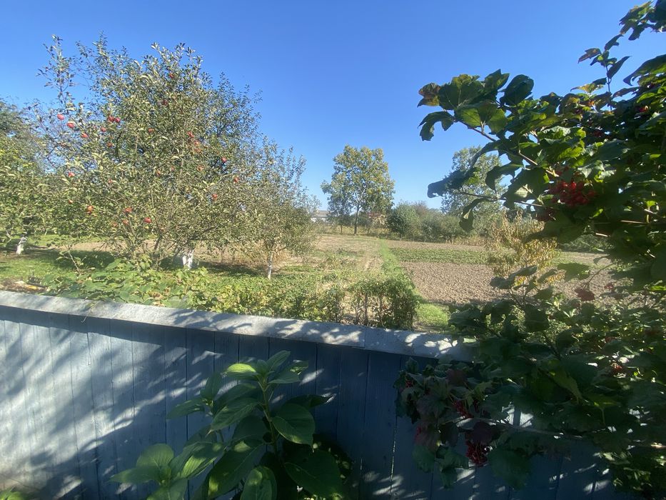 Продам будинок (с.Лужани)