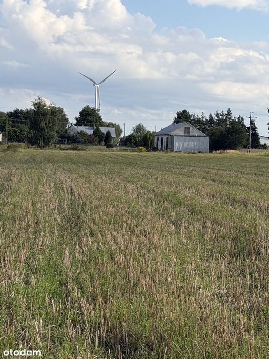 Sprzedam Działkę - 13 441 m² – Nowe Koziminy, gmina Płońsk