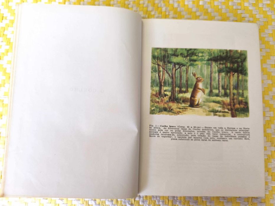 Compêndio de Zoologia  - 2º Ciclo Liceal – 3º Ano