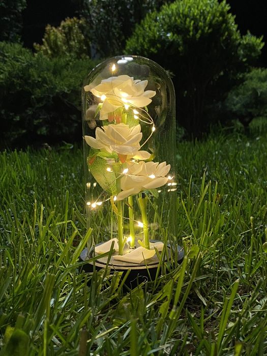 Троянди в колбі з підсвіткою