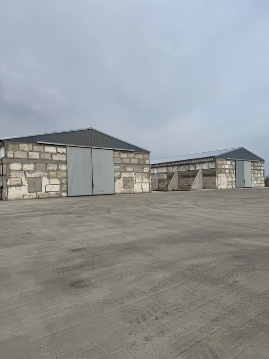 Бетонні роботи ( будь-який різновид)