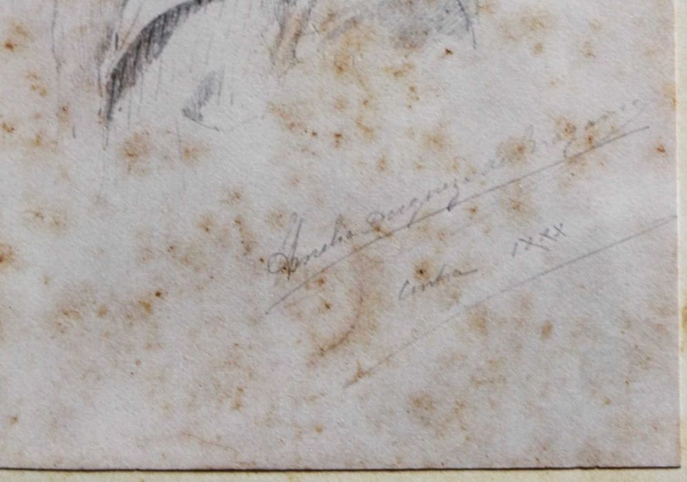 Conde de Sabugosa desenhado por D. Amélia Duquesa de Bragança foto
