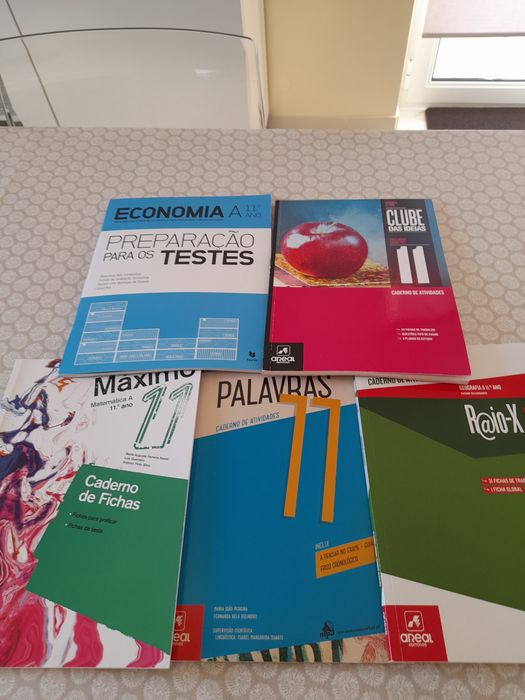 Livros de actividades 11 Ano