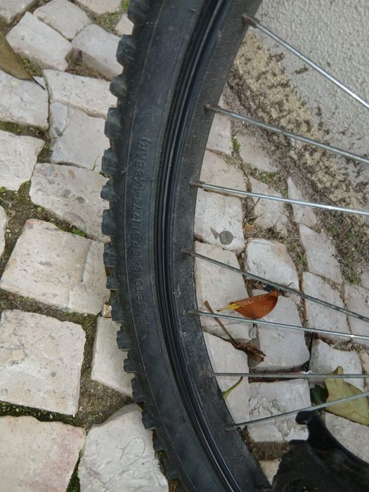 Bicicleta nova .