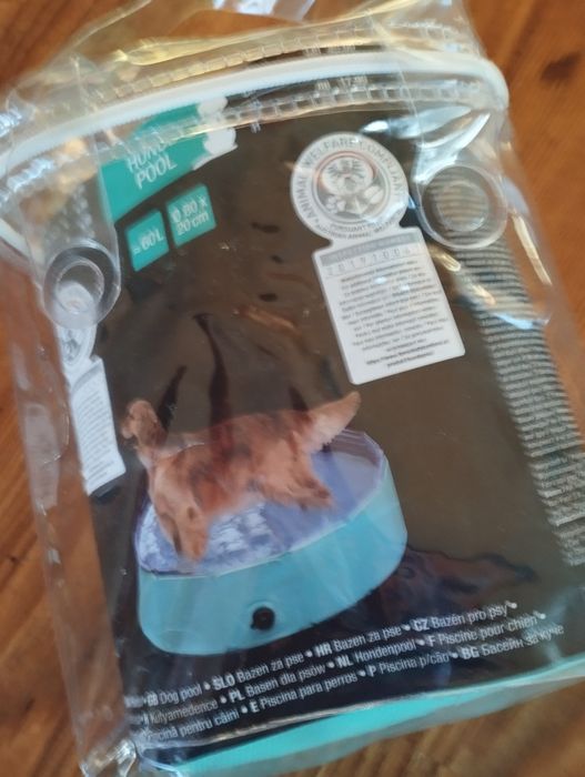 Basen chłodzący dla psa