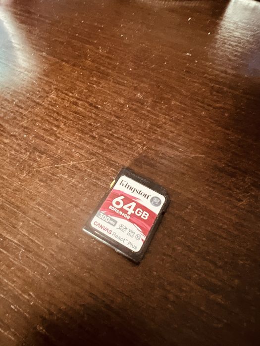 Kingstone Canvas React Plus 64 GB v90 300MB
