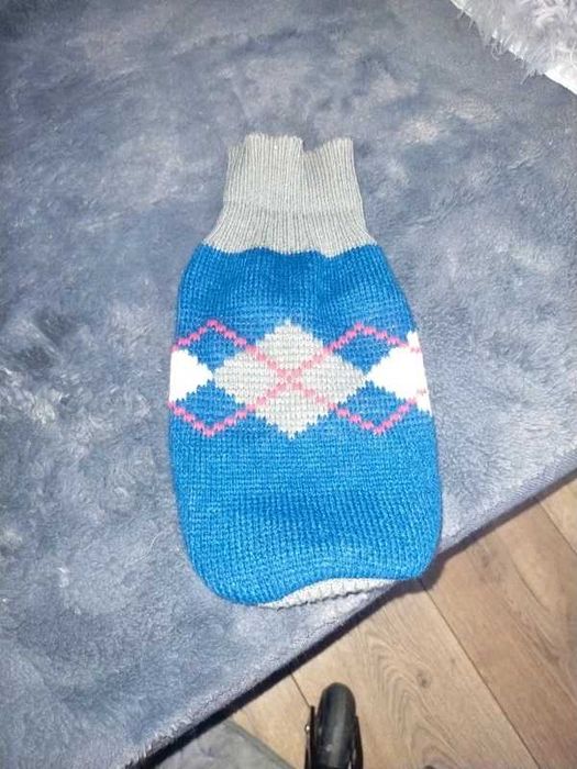 sweter dla małego psa